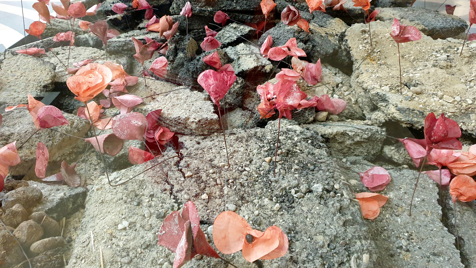 Blumen zwischen Ruinen