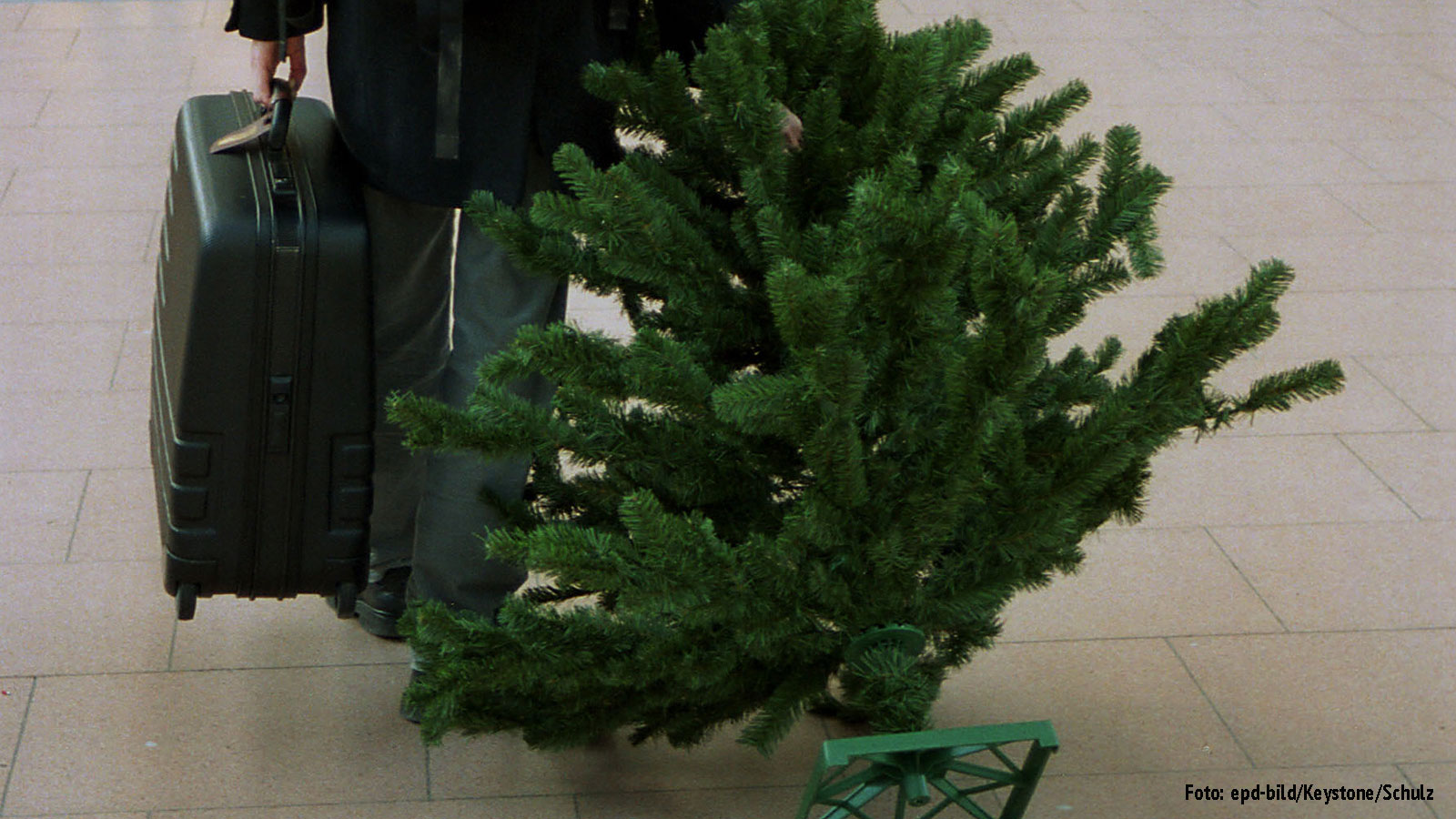 Symbolbild: Reisender mit Gepäck und Tannenbaum