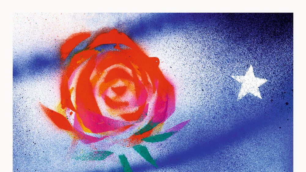 Symbolgrafik einer Rose im Schnee