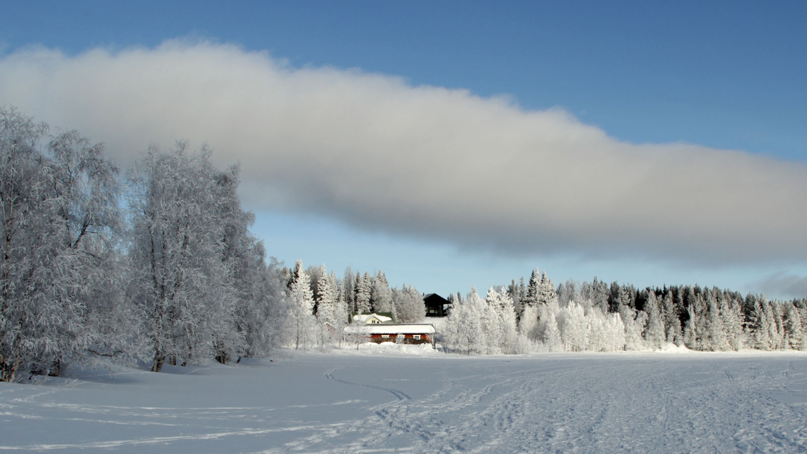 Winterlandschaft in Lappland mit weißverschneiten Bäumen, einem zugefrorenem See und einer Hütte