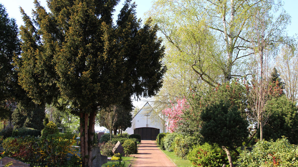 Hauptweg zur Friedhofskapelle, grüne Bäume, Gräber