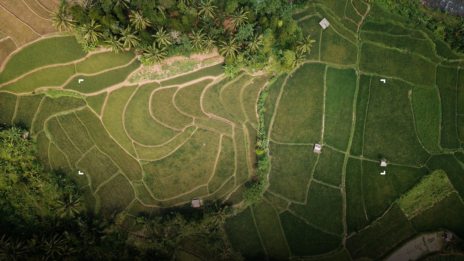 indonesische Landschaft mit Reisterrassen