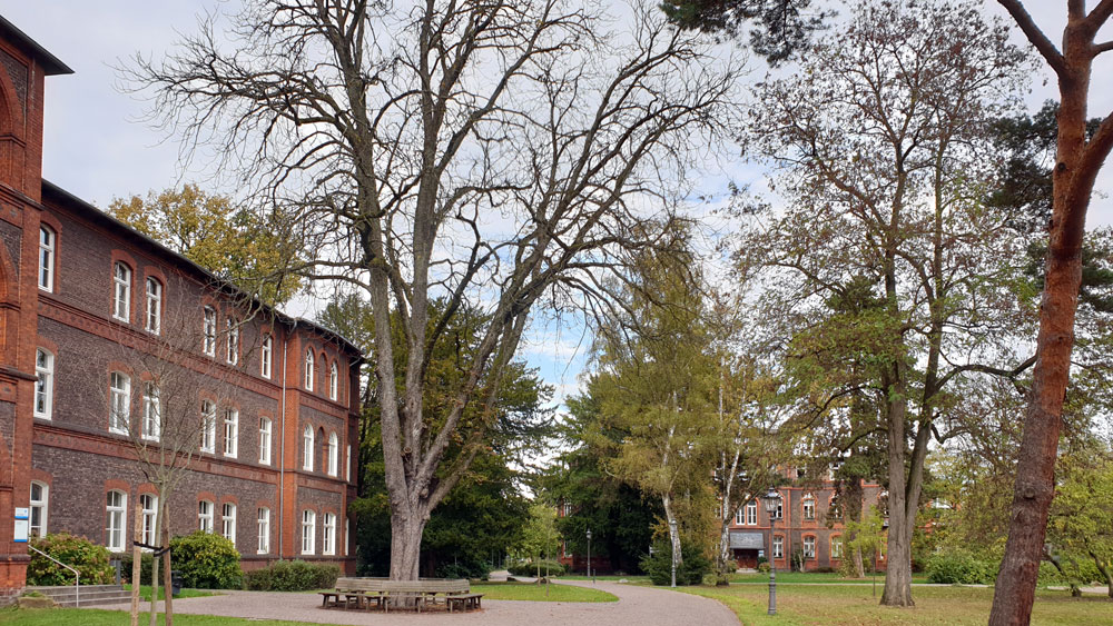 Geb&auml;ude und Park der KWD