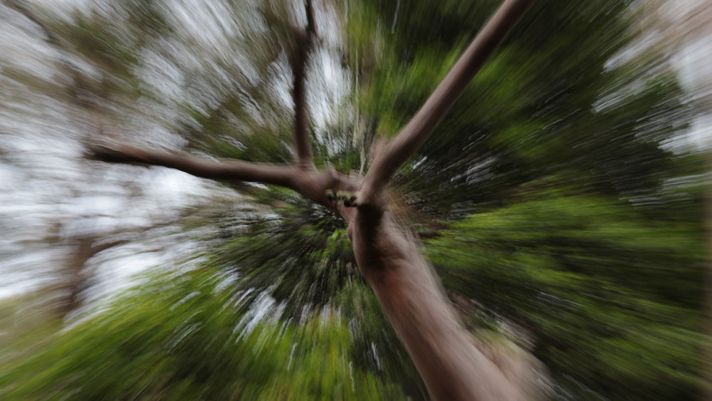 abstraktes Fotos, Symbolbild