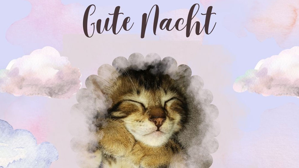 schlafende Katze